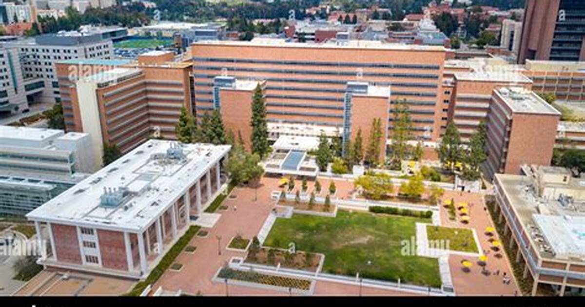 University of California Los Angeles David Geffen School of Medicine campus or school building
