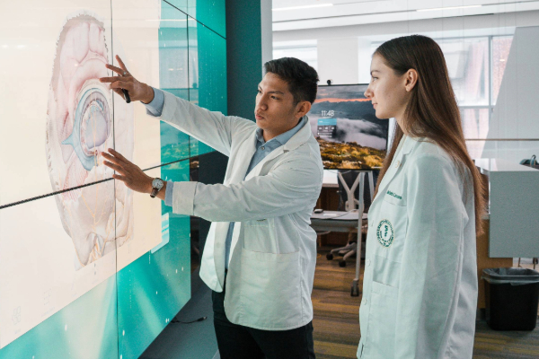 University of South Florida Morsani College of Medicine campus or school building