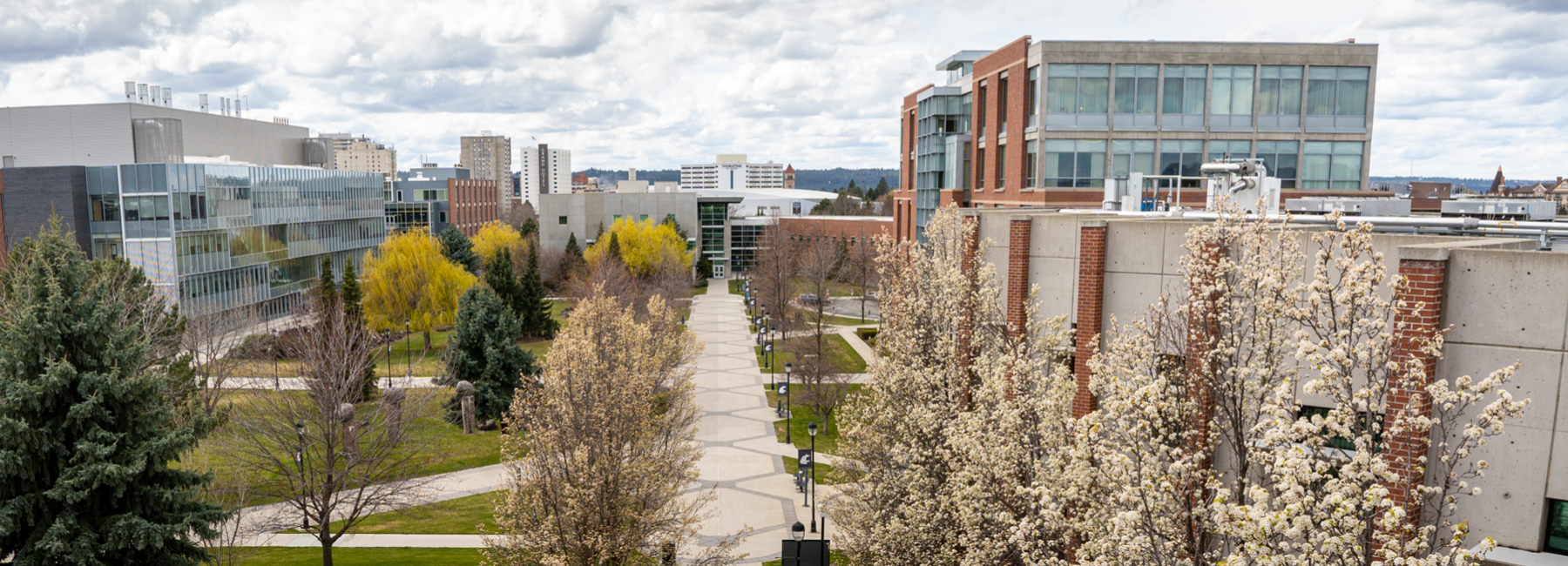 Washington State University - Elson S. Floyd College of Medicine campus or school building