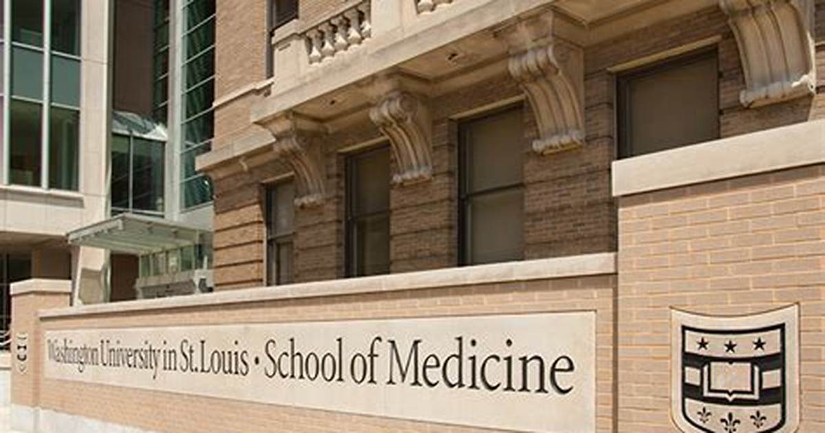 Washington University-St. Louis School of Medicine campus or school building