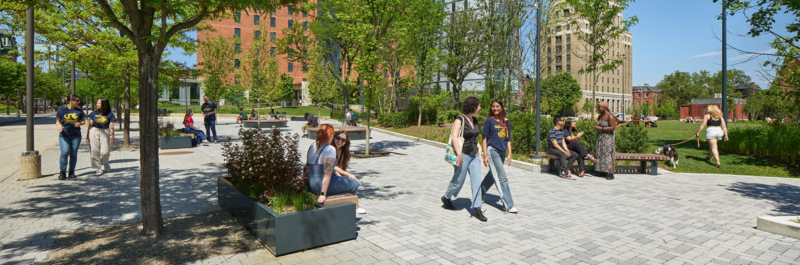 Drexel University College of Medicine campus or school building